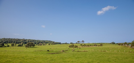 Country side in walesの写真素材