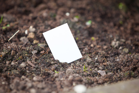 Business card growing from groundの写真素材