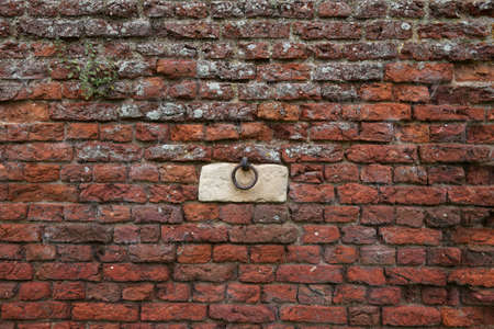 Brickwall background texture shotの写真素材