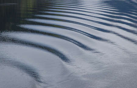 Water ripple in a lakeの写真素材