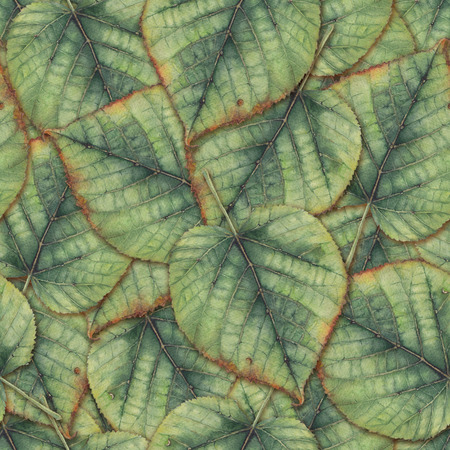 seamless background with leaves