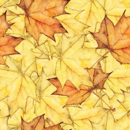 Seamless background with autumn colorful maple leavesの写真素材
