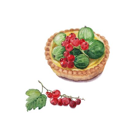 Original watercolor illustration of berry tartlet with red currant and green gooseberries. bright colors hand drawn painting.の写真素材