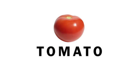 One red juicy tomatoes. Design for any of your purposes.の写真素材