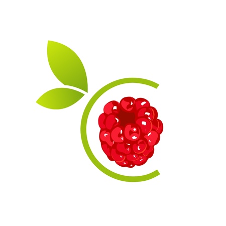 Raspberryのイラスト素材