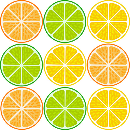 Citrus fruit slicesのイラスト素材