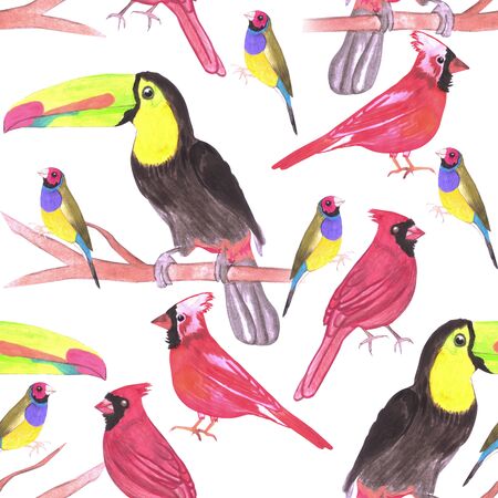 Watercolor Birds In Tetrad Color Scheme Seamless Watercolor