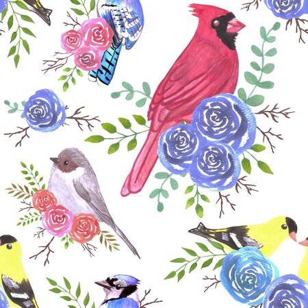 Cardinals, bushtits, blue jays and goldfinches on rose blossomsのイラスト素材