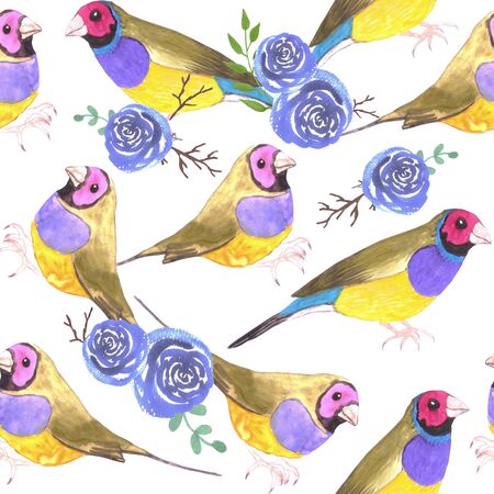 Red headed male Gouldian finches and roses or Erythrura gouldiae bird seamless watercolor birds paintingのイラスト素材