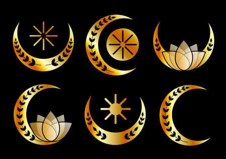 Decorative Crescent moons gold collection setのイラスト素材