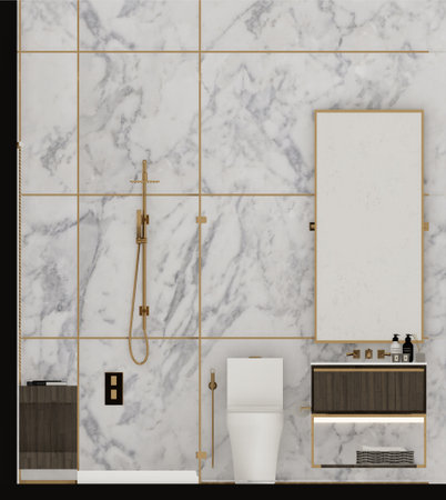 White marble toilet interior front elevationの写真素材