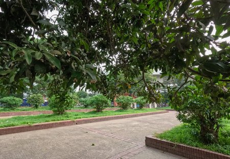 Landscape around Mausoleum of three leaders at Shahbag Dhaka University areaの写真素材