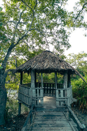 Wooden structure in a dense Mangrove forest in Bangladeshの写真素材