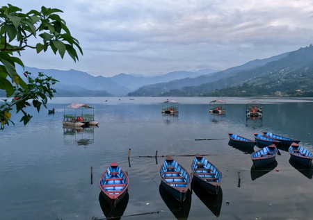 Fewa lake during dusk with numerous boats anchored along the shoreの写真素材