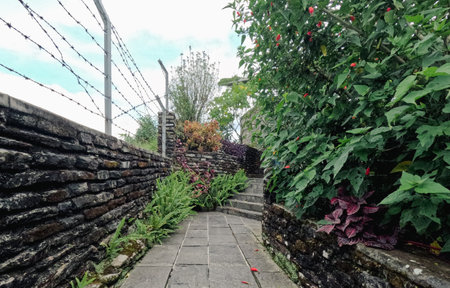 Rock garden and landscapingの写真素材