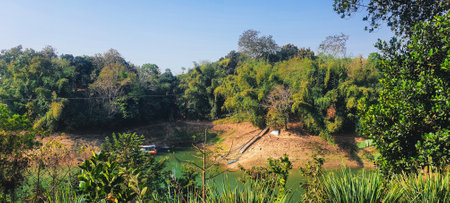 Lush green landscape of Rangamati Kaptai lakeの写真素材