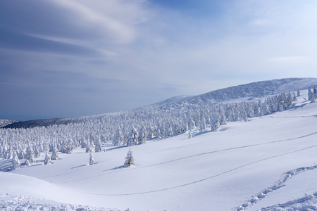Snow Monsters of Mt.Zao in Yamagata , Japanの写真素材