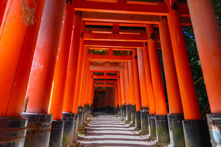 Japanese Torii gatesの写真素材