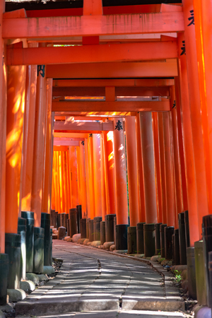 japanese Torii gateの写真素材