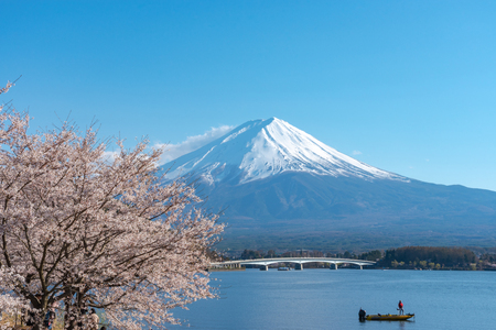 View of Mount Fuji with full bloom cherry tree flowers at Lake Kawaguchi Park in springtime.のeditorial素材