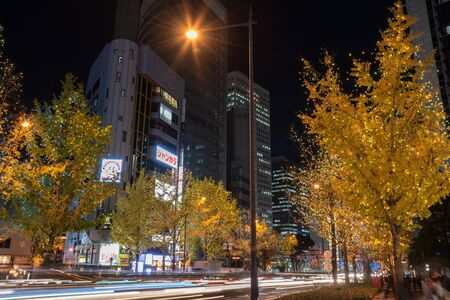 Festival of the Lights in Osaka. The winter illumination events, Midosuji Illumination and Hikari...