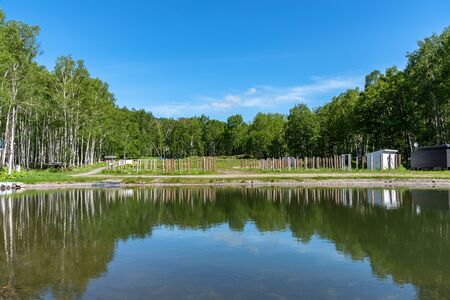 forest scenery at lakeside, nature landscape. Trees on foreground with mountains and blue sky on background in sunny day summer timeの写真素材