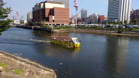 Pikachu Outbreak 2017. A real-world event organized by The Pok?mon Company in Yokohama Minato Mirai 21 area, Japan between August 9th and A ugust 15th, 2017のeditorial素材
