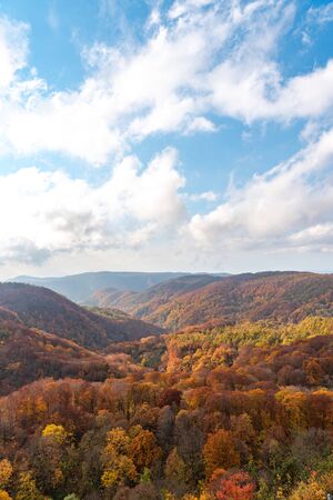 Autumn foliage scenery view, beautiful landscapes. Colorful forest trees in the foreground, and sky in the backgroundの写真素材