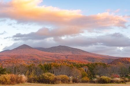Autumn foliage scenery in Kayano-Plateau, Aomori, Japan.の写真素材