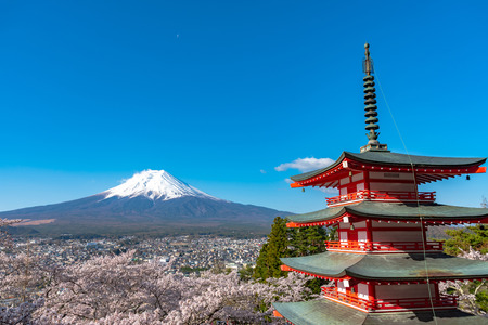 Mount Fuji viewed from behind Chureito Pagoda in full bloom cherry blossoms springtime.のeditorial素材