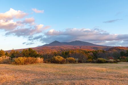 Autumn foliage scenery in Kayano-Plateau, Aomori, Japan.の写真素材