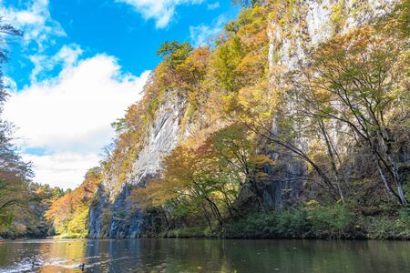 Geibi Gorge (Geibikei) Autumn foliage scenery view in sunny day. Many wild ducks in the gorge and they flock around seeking boats food when sightseeing pass by. Ichinoseki, Iwate Prefecture, Japanの写真素材