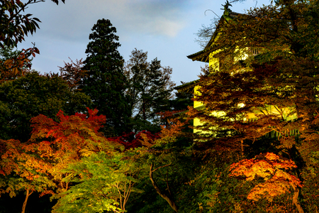 Hirosaki Castle Park Autumn foliage scenery view. Beautiful landscapes, the moat light up at night illuminate multicolor reflecting on surface. Hirosaki city, Aomori Prefecture, Japanのeditorial素材