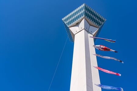 Goryokaku Park Tower in Springtime Cherry Blossom Full Bloom Season Sunny Day with Clear Blue Sky,...