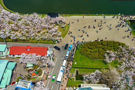 Goryokaku park in springtime cherry blossom season ( April, May ) aerial view star shaped fort in sunny day. Visitors Enjoy the Beautiful Full Bloom Sakura Flowers in Hakodate City, Hokkaido, Japanのeditorial素材