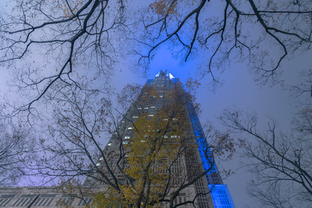Tokyo Metropolitan Government building at Night, Shinjuku, Tokyo, Japanのeditorial素材