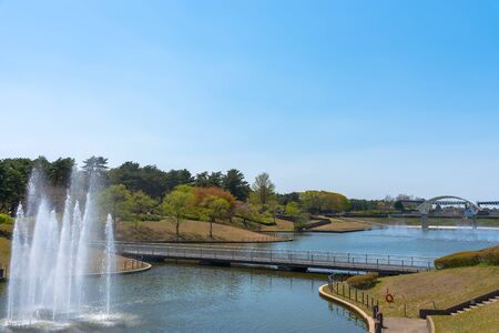 Hitachi Seaside Park in Ibaraki Prefecture of Japanのeditorial素材