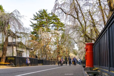 Kakunodate BukeYashiki Street (Samurai Residences) in Springtime Cherry Blossom Season Sunny Day. Japanese traditional scene, beauty full bloom pink sakura tree tree flowers. Akita, Japanのeditorial素材