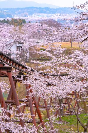 Slope car at Funaoka Castle Park in Miyagi, Japanのeditorial素材