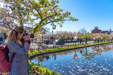 Photo pour Hirosaki city street view. Cherry Blossom in Spring Season Sunny Day and Clear Blue Sky. Blooming pink sakura trees flowers petals starting to fall. Aomori Reflection, Japan - image libre de droit