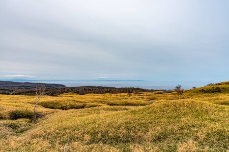 Shiretoko Goko Five Lakes area. woodland in high latitude country springtime. Shiretoko National...