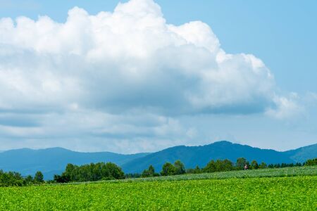 Rural nature landscapes. View of farmland field in a beautiful springtime sunny day. Mountains, blue sky and white clouds on backgroundの写真素材