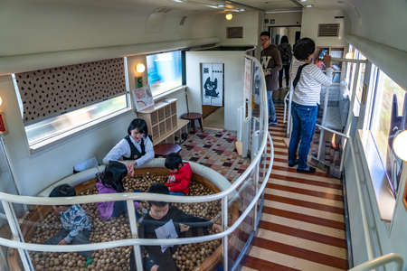 Aso Boy limited express train, operated by Kyushu Railway Company (JR Kyushu). Runs between Kumamoto...