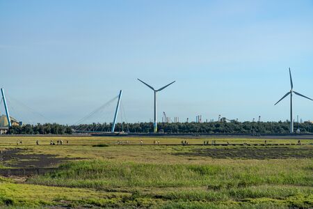 Gaomei Wetlands tourist pathway, a popular scenic spots in Qingshui District, Taichung City, Taiwanの写真素材