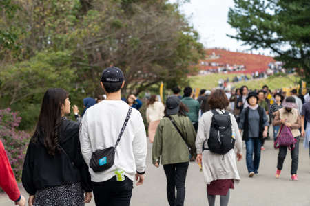 Crowded people going to the Miharashi Hill to see the red kochia bushes in the Hitachi Seaside Park....