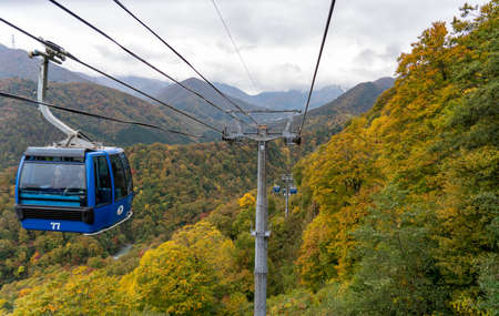 Dragondola (Naeba-Tashiro Gondola) in autumn foliage season. The longest aerial gondola lift line...