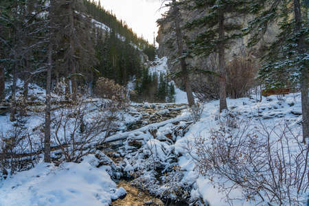 Icy creek flowing in winter season. Grassi Lakes, Canmore, Alberta, Canada.の写真素材