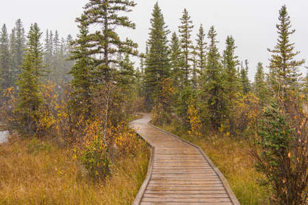 Snowing Policeman Creek Riverside Trail, Spring Creek Boardwalk in Late fall to early winter season. Town of Canmore, Alberta, Canada.の写真素材