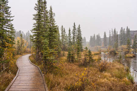 Snowing Policeman Creek Riverside Trail, Spring Creek Boardwalk in Late fall to early winter season. Town of Canmore, Alberta, Canada.の写真素材