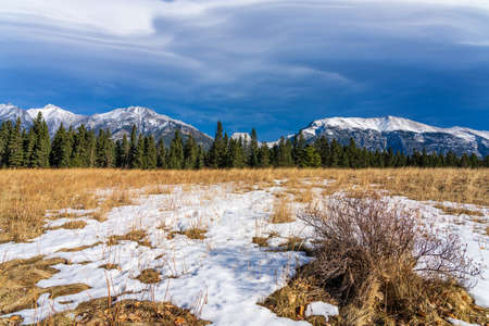 Unmelted snow grassland with beautiful cloudscape in late autumn sunny day. Forest and snow capped mountains in the background. Natural scenery in Canmore, Alberta, Canada.の写真素材